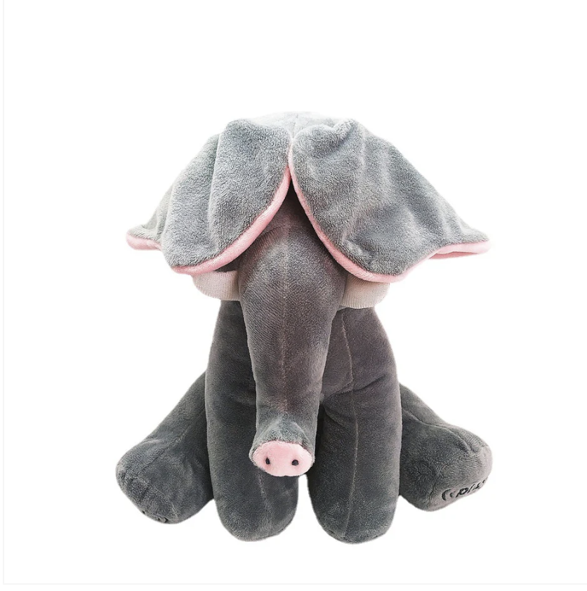 Peekaboo Toy for Babies