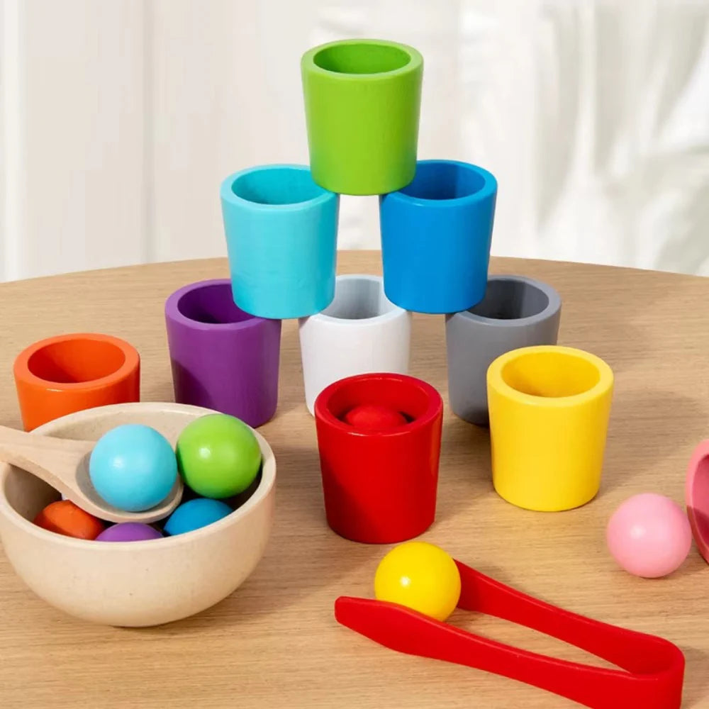 ColorNest Montessori Colour & Shape Learning Set