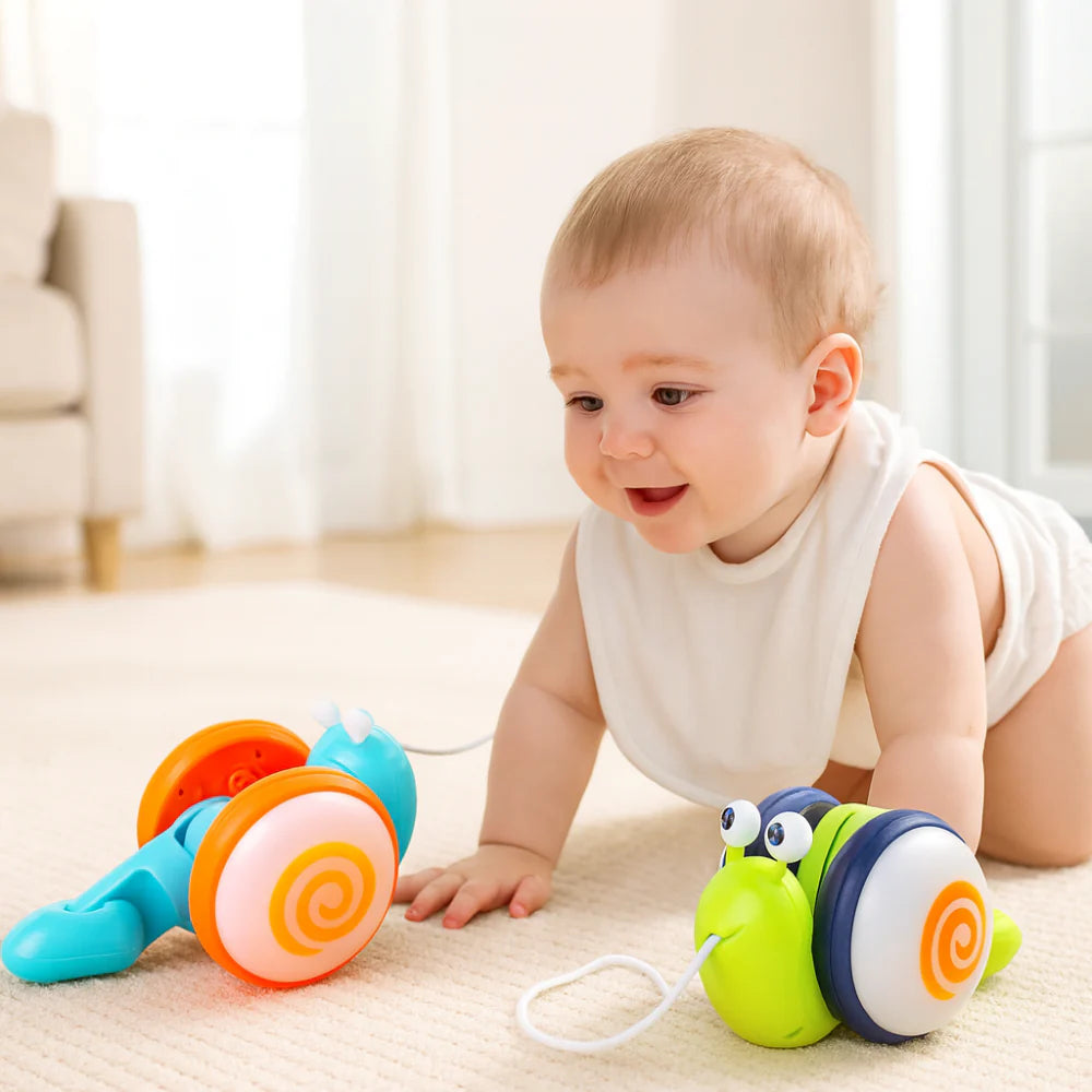 Snail Buddy Toy