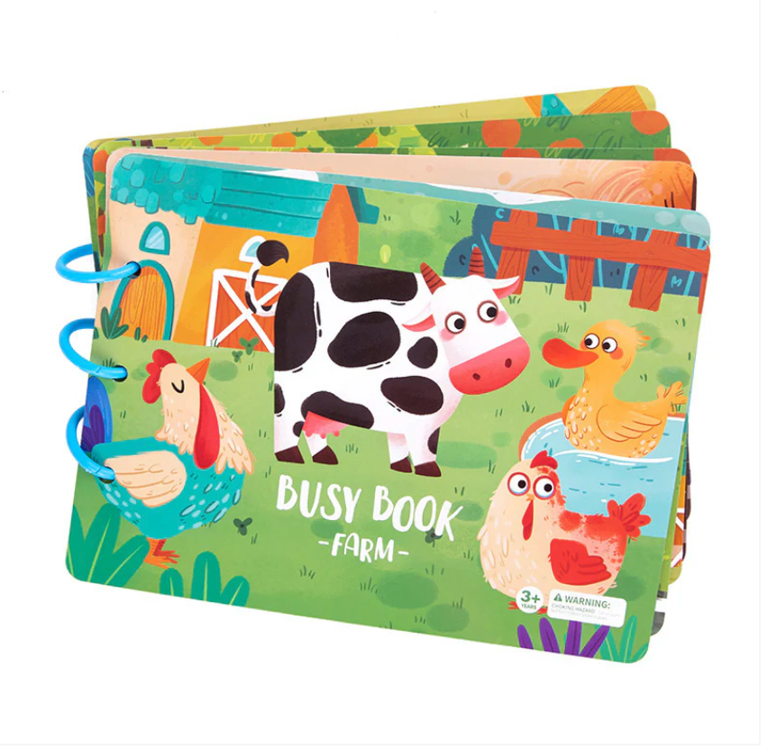 Montessori Busy Book