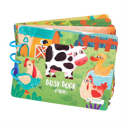 Montessori Busy Book