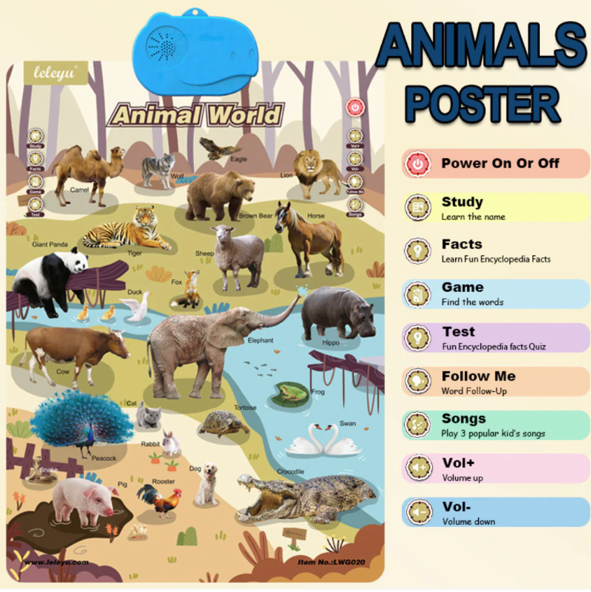 Speak & Learn English Board