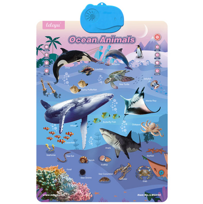 Speak & Learn English Board