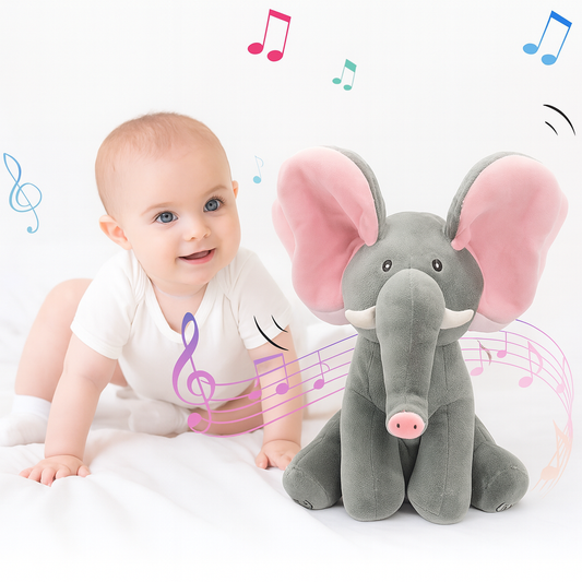 Peekaboo Toy for Babies