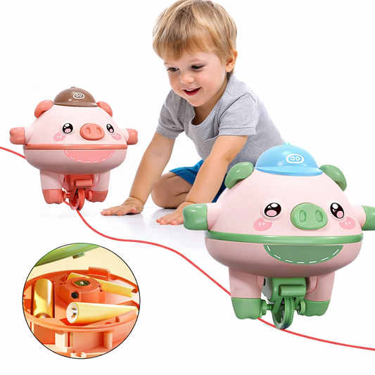 WobblePig Balance Toy
