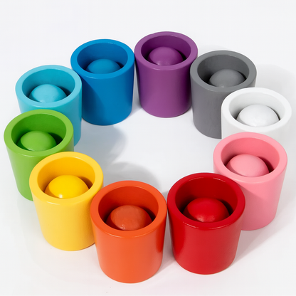 ColorNest Montessori Colour & Shape Learning Set