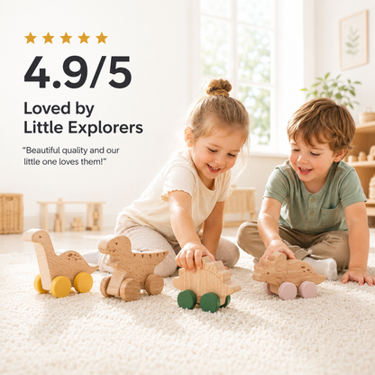 DreamRail Montessori Wooden Train