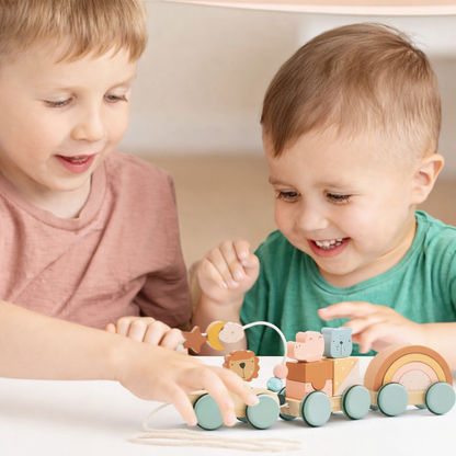 DreamRail Montessori Wooden Train