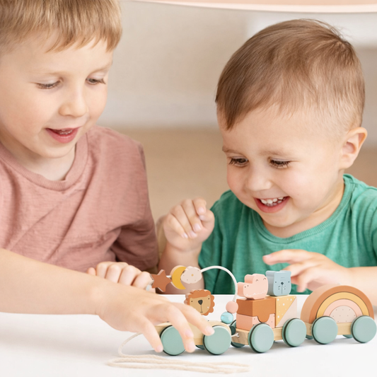 DreamRail Montessori Wooden Train