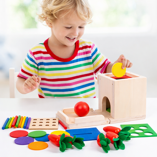 LogicCore 5-in-1 Montessori-Set