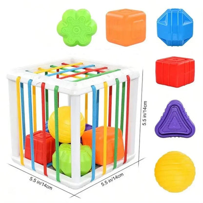 ShapeBox Learn & Sort