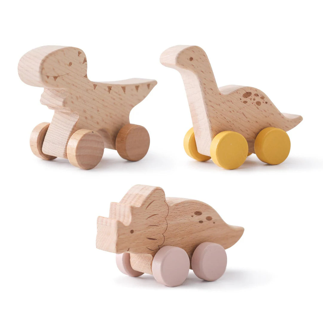 DreamRail Montessori Wooden Train