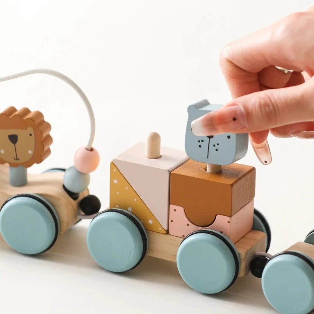 DreamRail Montessori Wooden Train