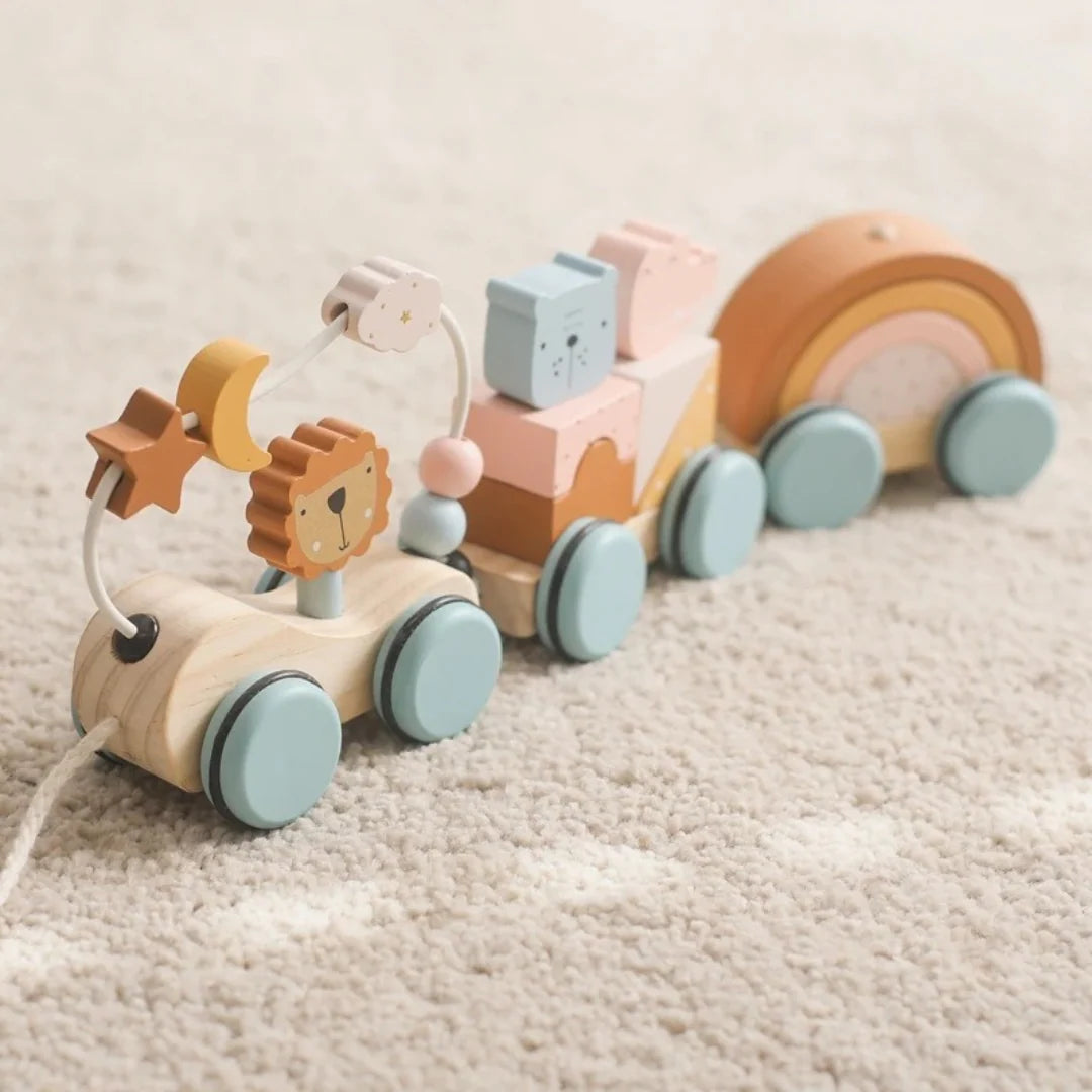 DreamRail Montessori Wooden Train
