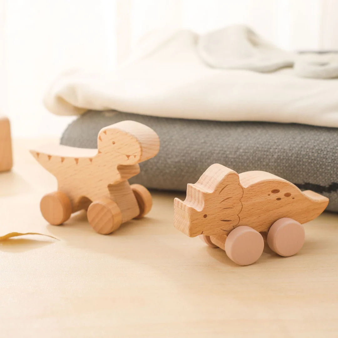 DreamRail Montessori Wooden Train
