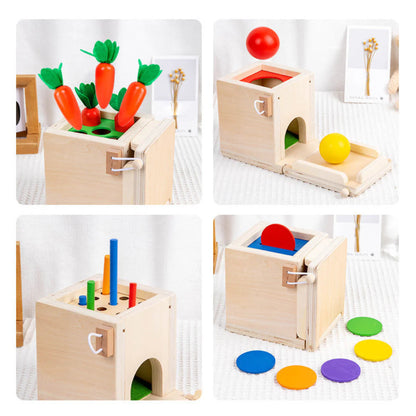 LogicCore 5-in-1 Montessori-Set